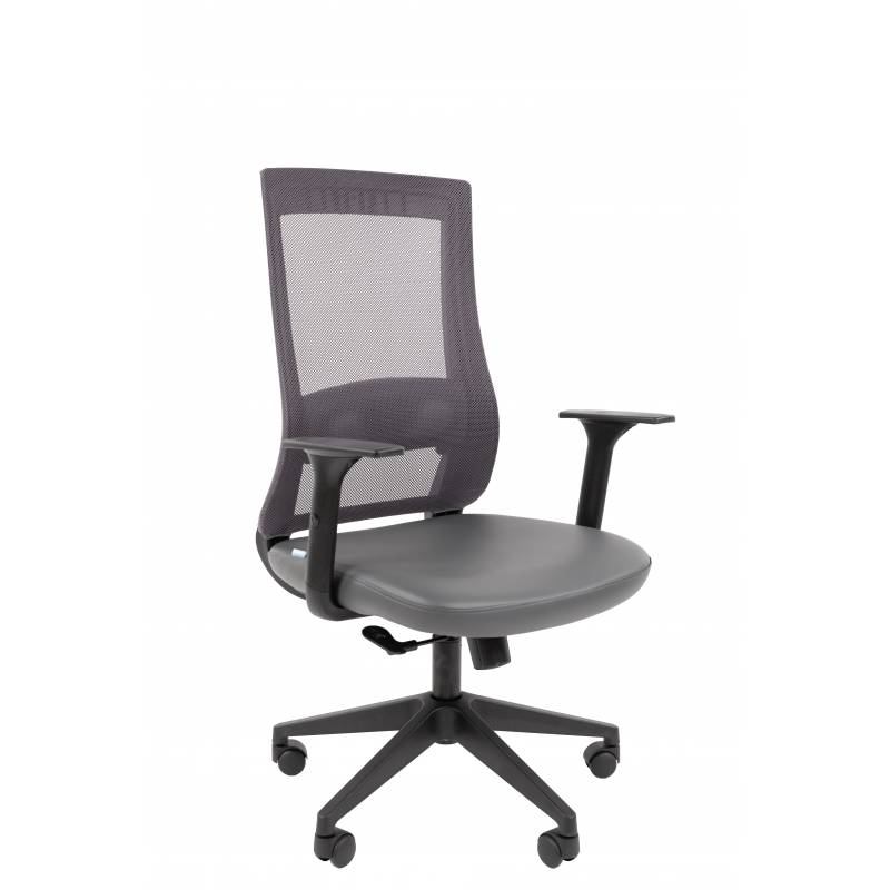 Кресло руководителя Chairman 500LT Россия экокожа серый/TW-04 серый Б/П главное фото